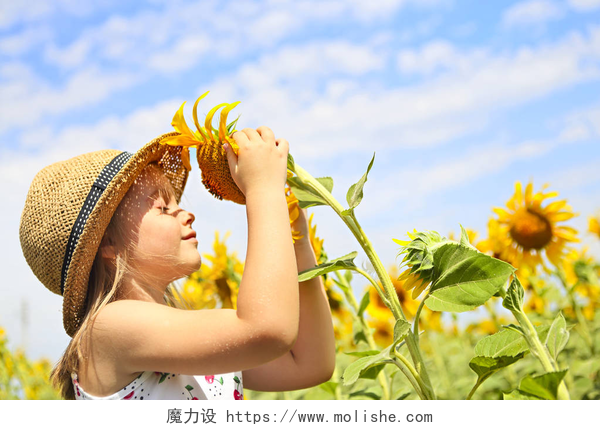蓝天白云下一个可爱的女孩子在向日葵丛中玩耍阳光明媚的夏日, 孩子们在向日葵地里玩耍。小女孩玩向日葵.